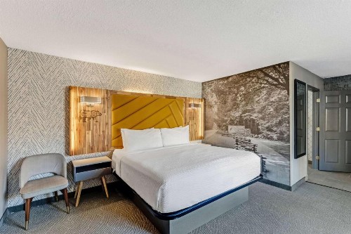 LeConte View Motel - image 12