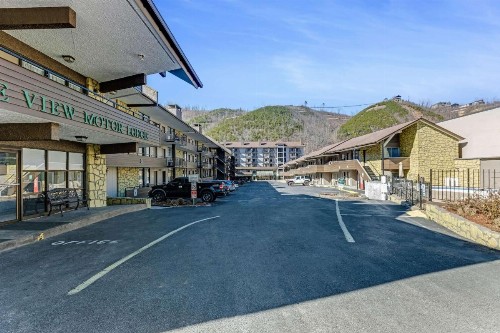 LeConte View Motel - image 3