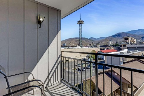 LeConte View Motel - image 48