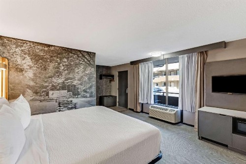 LeConte View Motel - image 7