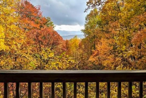 Dove’S Nest - Charming Cabin Cabin - image 10
