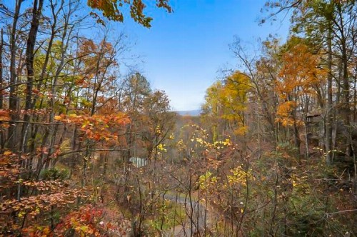 Dove’S Nest - Charming Cabin Cabin - image 12