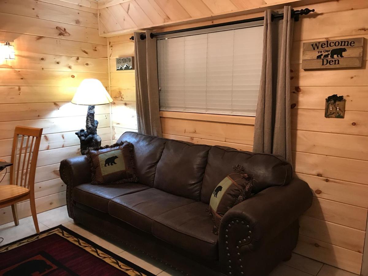 Downtown Gatlinburg Apartment - image 3