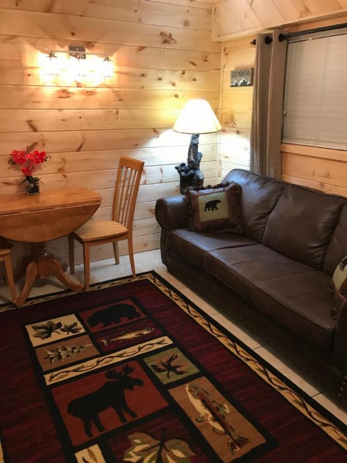 Downtown Gatlinburg Apartment - image 35