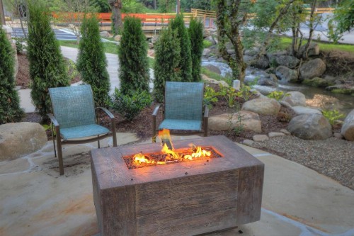 Hampton Inn Gatlinburg Historic Nature Trail Tn - image 10