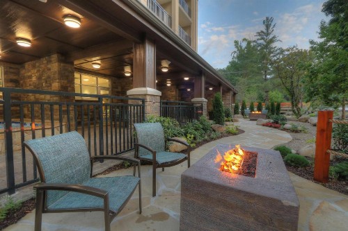 Hampton Inn Gatlinburg Historic Nature Trail Tn - image 2
