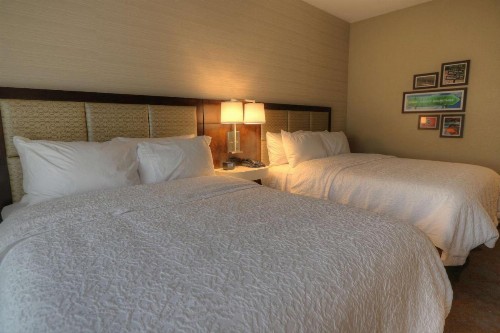 Hampton Inn Gatlinburg Historic Nature Trail Tn - image 25