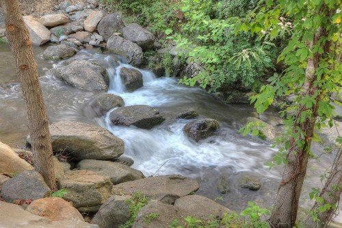 Hampton Inn Gatlinburg Historic Nature Trail Tn - image 3