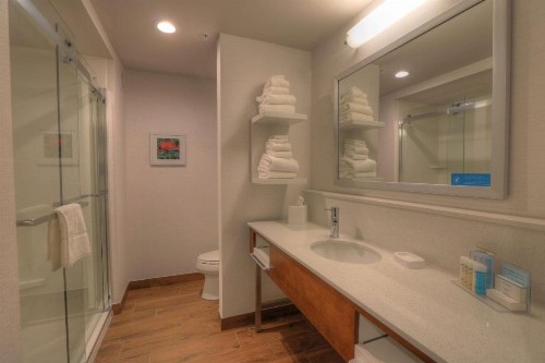 Hampton Inn Gatlinburg Historic Nature Trail Tn - image 31