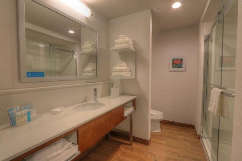 Hampton Inn Gatlinburg Historic Nature Trail Tn - image 33
