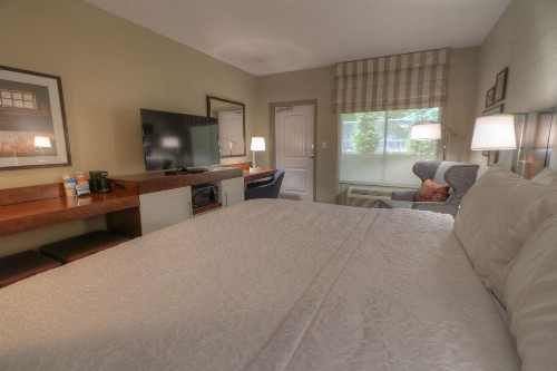 Hampton Inn Gatlinburg Historic Nature Trail Tn - image 37