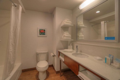 Hampton Inn Gatlinburg Historic Nature Trail Tn - image 39
