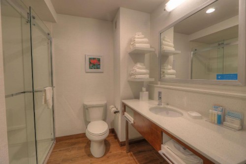 Hampton Inn Gatlinburg Historic Nature Trail Tn - image 40