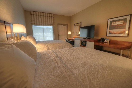 Hampton Inn Gatlinburg Historic Nature Trail Tn - image 42