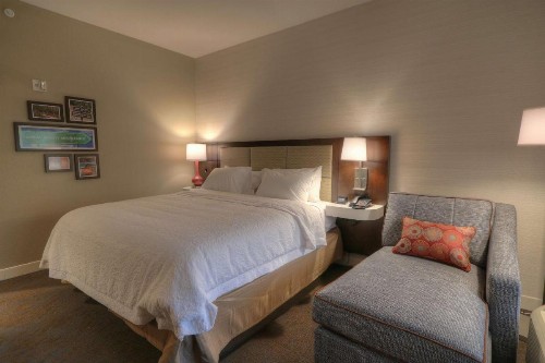 Hampton Inn Gatlinburg Historic Nature Trail Tn - image 45