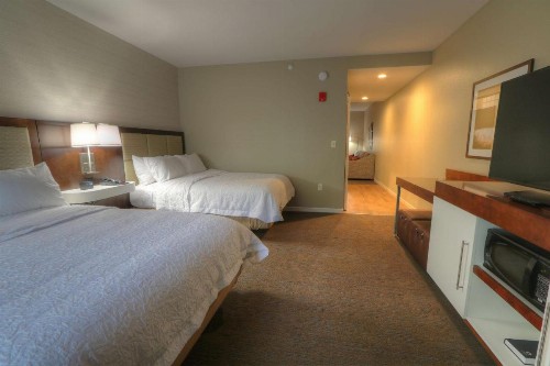 Hampton Inn Gatlinburg Historic Nature Trail Tn - image 47