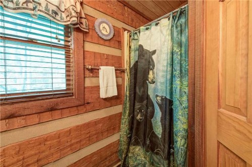 Rustic Charm 1 Bedroom 2 Bathroom Sleeps 4 Pets Welcome Hot Tub Priva - image 1