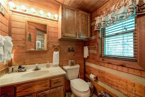 Rustic Charm 1 Bedroom 2 Bathroom Sleeps 4 Pets Welcome Hot Tub Priva - image 6