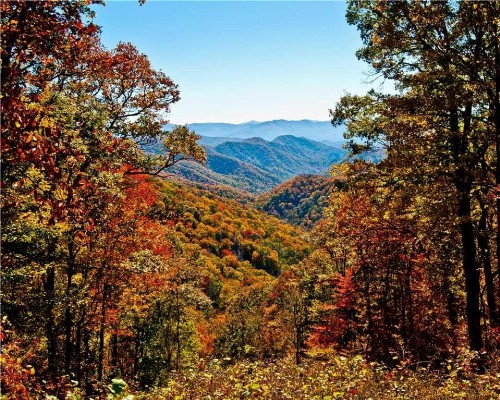 Naughty by Nature 1 Bedroom Sleeps 2 Hot Tub Mountain Views WiFi - image 4