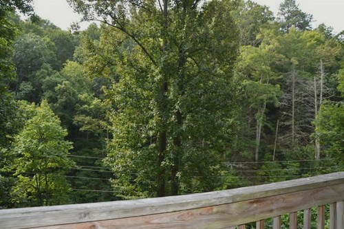 Honeymoon Hideaway - image 11