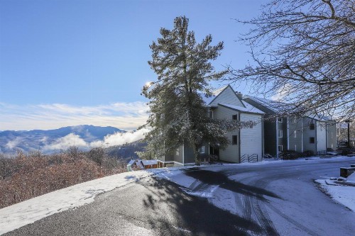 Summit View Condos - image 4