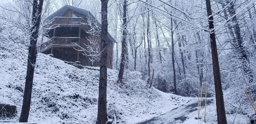 Distiller'S Den Cabin Cabin - image 39