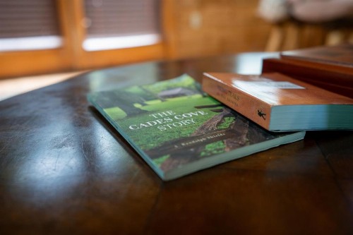 23 The Cub House Cabin - image 19