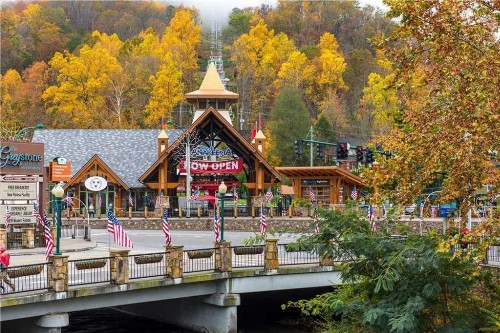 Above Ole Smoky’s Clouds 1 Bedroom Hot Tub WiFI Pets Sleeps 4 - image 5