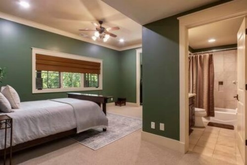 Mountain House - image 28
