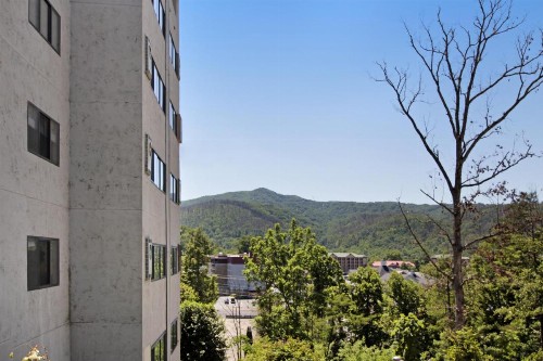The Laurel Inn - image 11