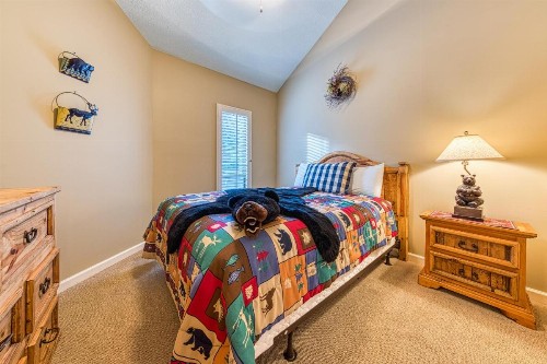 Alpine Condo & Cozy Bear Condo - image 10