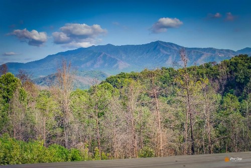 Majestic View Lodge - image 14