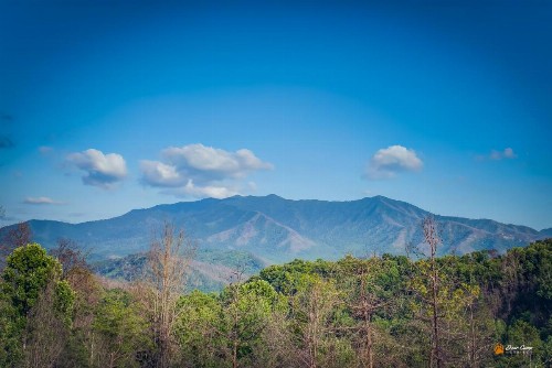Majestic View Lodge - image 9