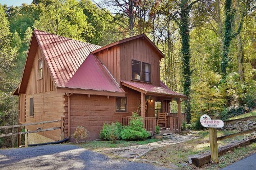 Enchanted Forest - image 1