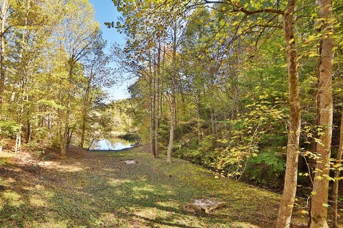 Enchanted Forest - image 30