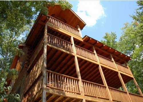 Treetops - image 34