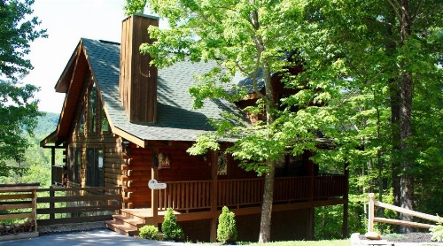 Treetops - image 9