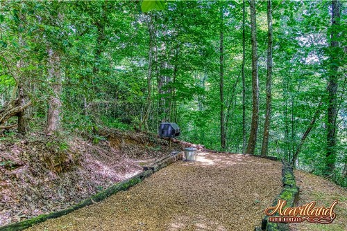 Cozy Mountain Hideaway - image 17