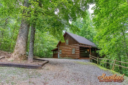 Cozy Mountain Hideaway - image 22