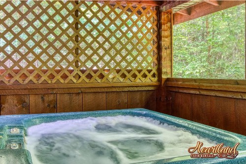 Cozy Mountain Hideaway - image 23