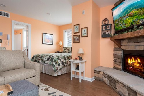 Gatlinburg Summit Condo #6208 - image 11