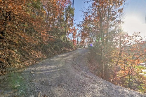 Great Smoky Mtn Cabin 4 Acres 3 Mi to Gatlinburg - image 4