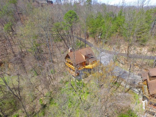 Bear Run Getaway #1136 by Aunt Bug's Cabin Rentals - image 4