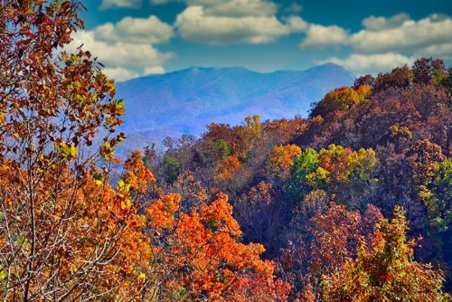 Mountain View Paradise - image 1