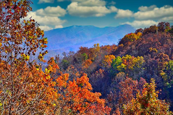 Mountain View Paradise - main image