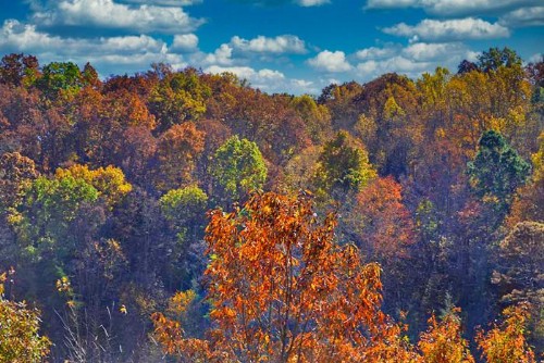 Mountain View Paradise - image 2