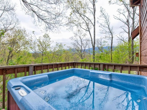 Amazing Memories 1 Bedroom Pool Access Hot Tub Pool Table Sleeps 6 - image 1