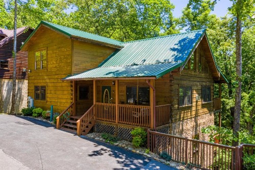 Log Inn Family Cabin - image 1