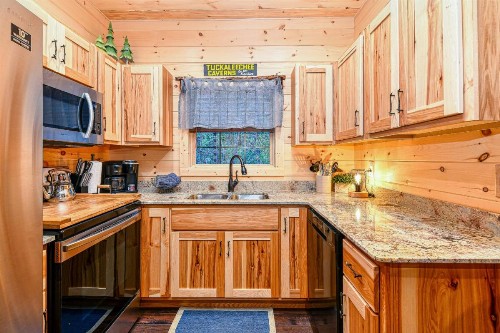 The Blue Spruce - image 9