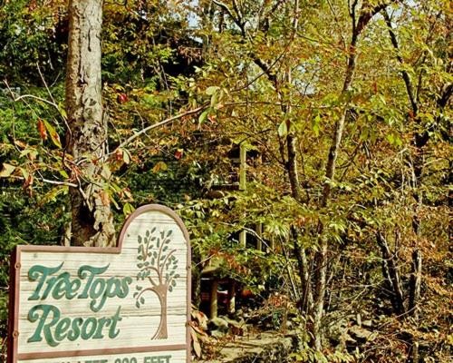 Secluded Family Condo in the Beauty of the Smokies - One Bedroom #1 - image 10